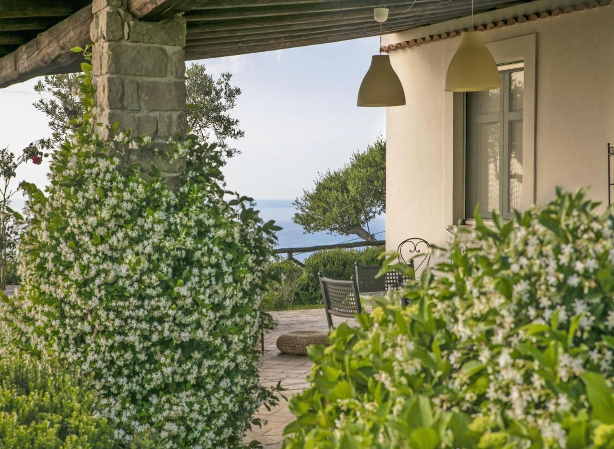 Villa Laura Capo dʼOrlando Eksteriør billede